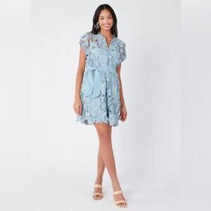 Abbey Glass Lace Dress